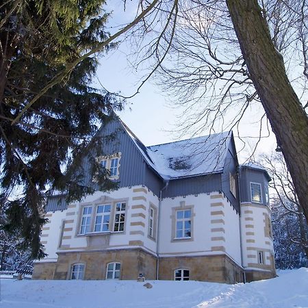 Villa-Unger Altenberg Luaran gambar