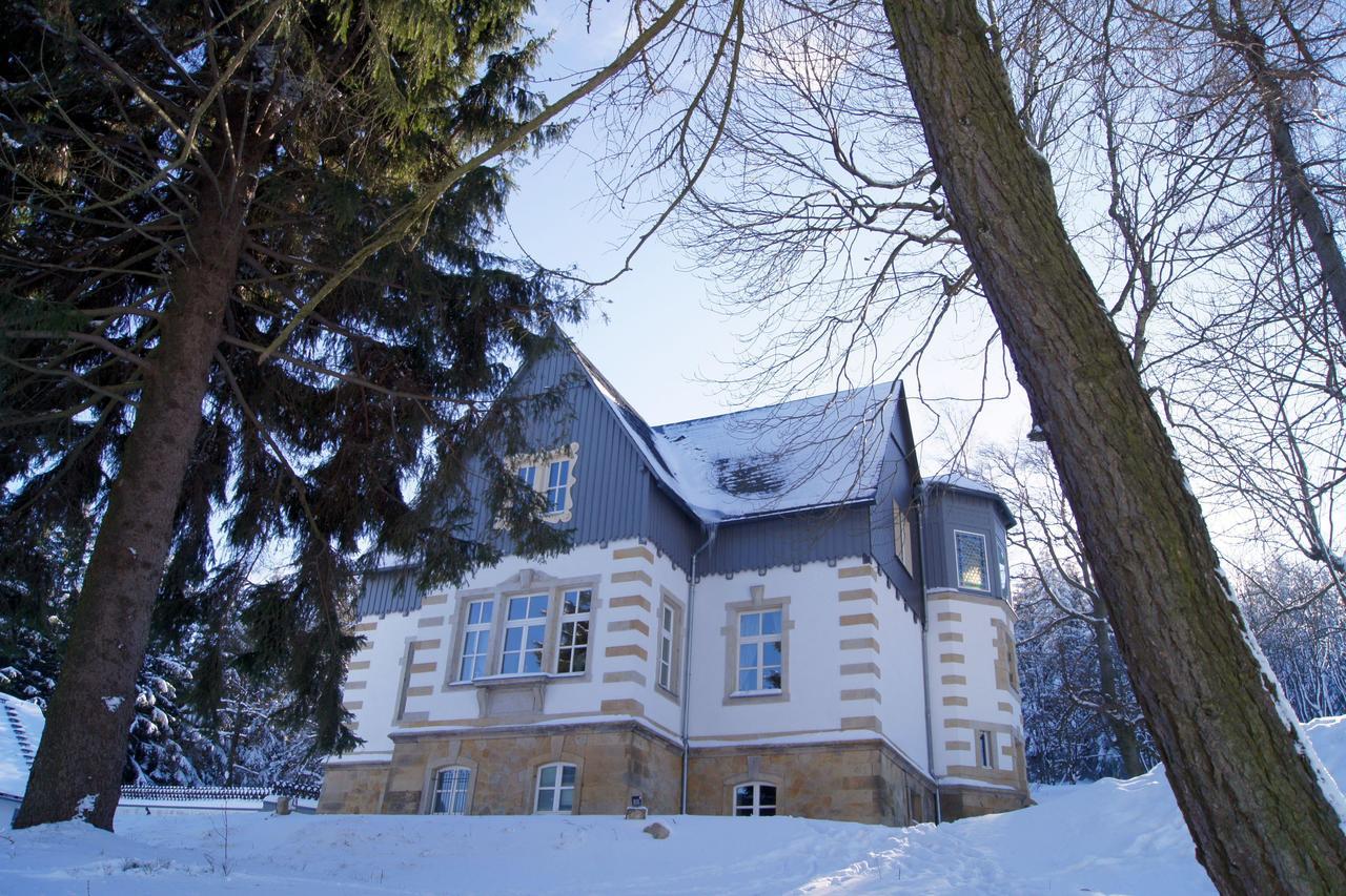 Villa-Unger Altenberg Luaran gambar